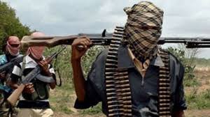 Boko Haram Insurgents Attack Adamawa Town, Bomb Bank