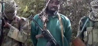 Boko Haram Members Raid Borno Village, Slaughter Chief Imam, Four Others